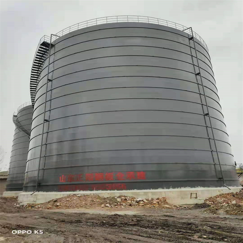 成都3万吨大型钢板库